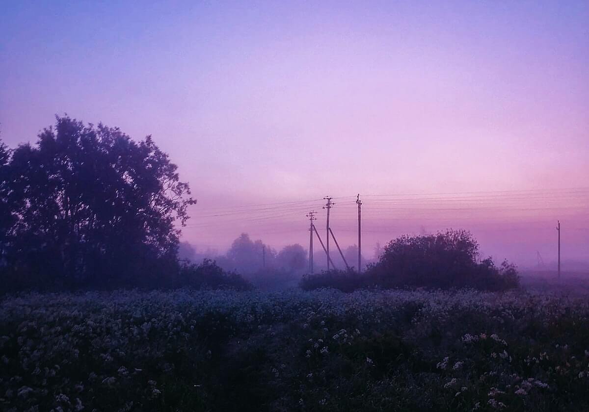 开云下载：让下载成为高效生活的新入口